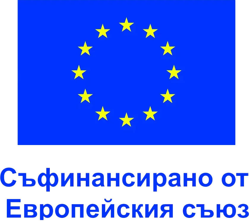 EU Logo